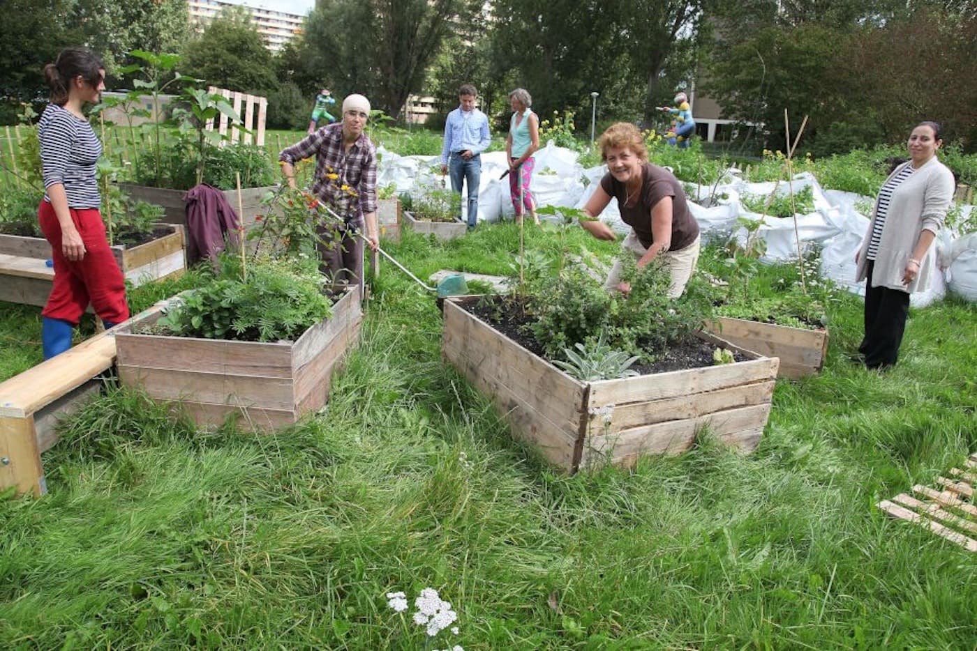 Bewoners werken samen in een buurtmoestuin
